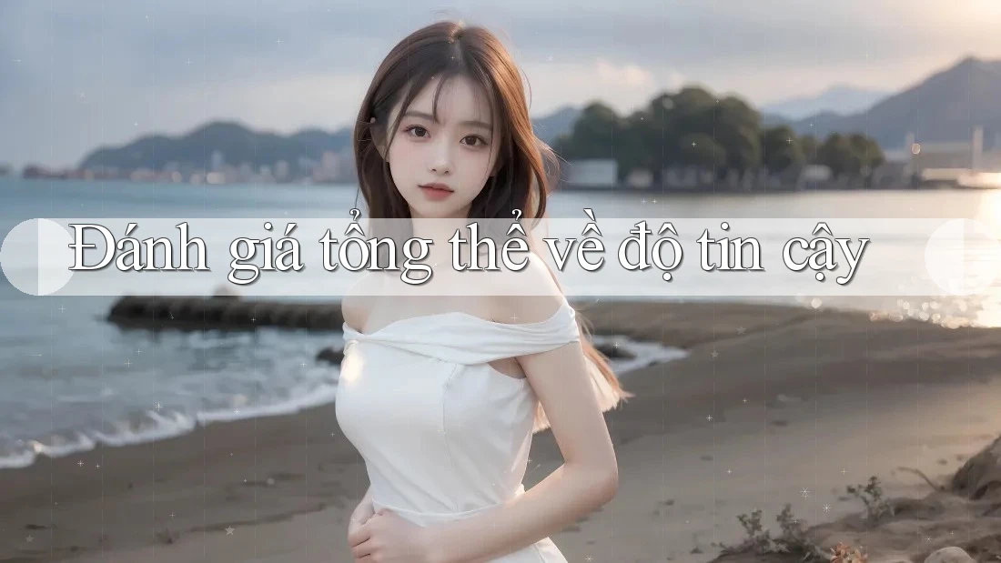 Đánh giá tổng thể về độ tin cậy