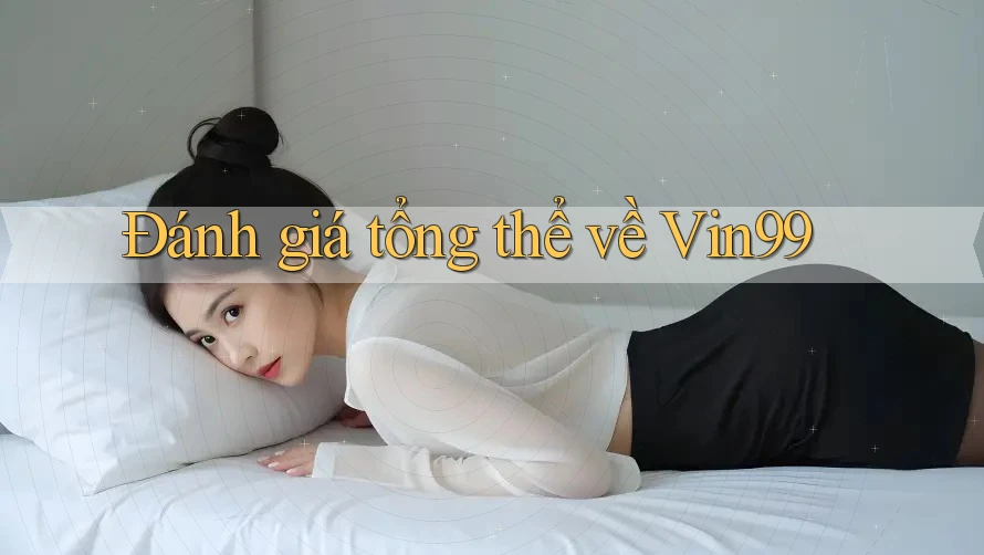 Đánh giá tổng thể về Vin99