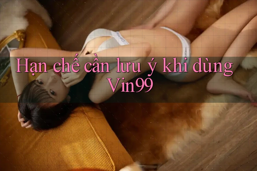 Hạn chế cần lưu ý khi dùng Vin99 Hạn chế cần lưu ý khi dùng Vin99
