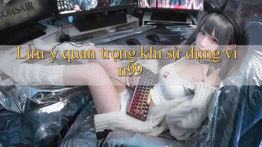 Lưu ý quan trọng khi sử dụng vin99 Lưu ý quan trọng khi sử dụng vin99