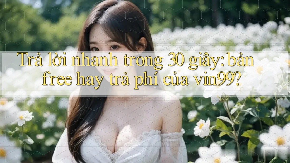 Trả lời nhanh trong 30 giây: bản free hay trả phí của vin99?