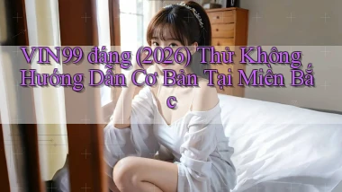 Vin99 đáng (2026) thử không hướng dẫn cơ bản tại miền Bắc