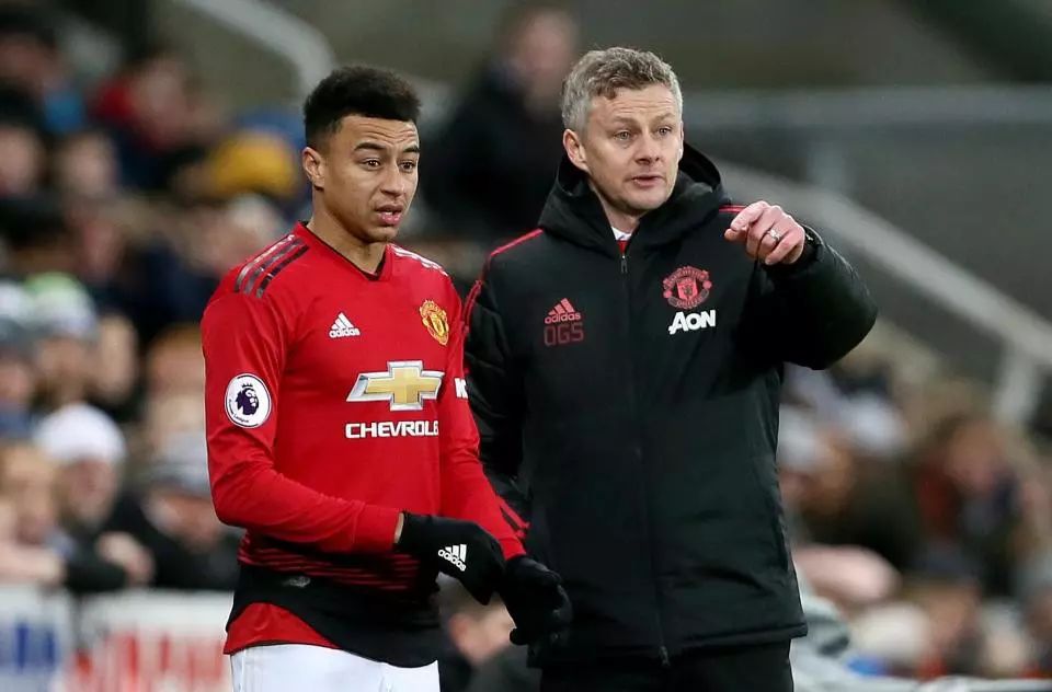 乒乓球队的 乒乓球队的